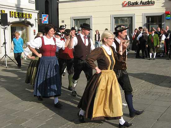 Maibaum_Linz_028.JPG